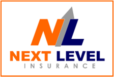 Next Level logo